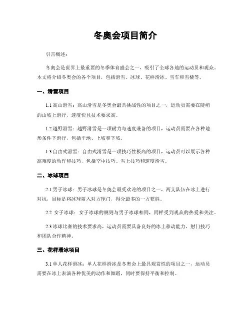 冬奥会项目简介