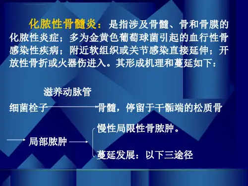 化脓性骨髓炎影像学诊断ppt课件