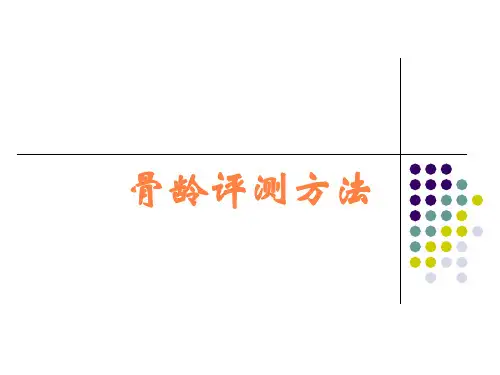 骨龄评测方法