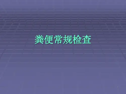 粪便常规检验PPT幻灯片课件