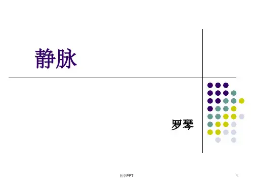 《心血管系统静脉》PPT课件