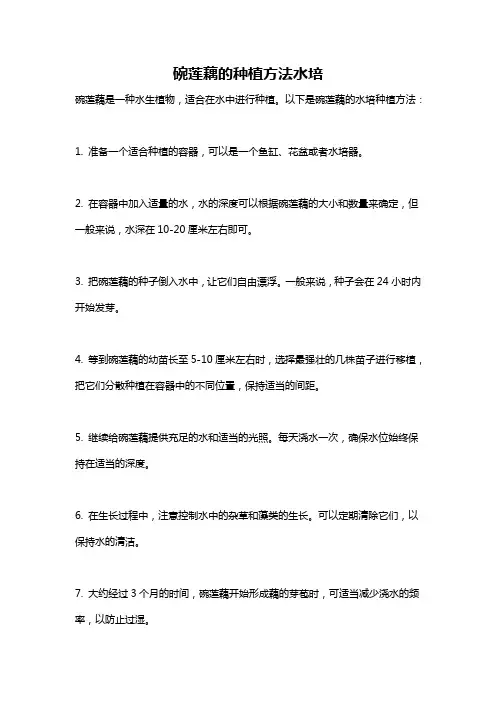 碗莲藕的种植方法水培