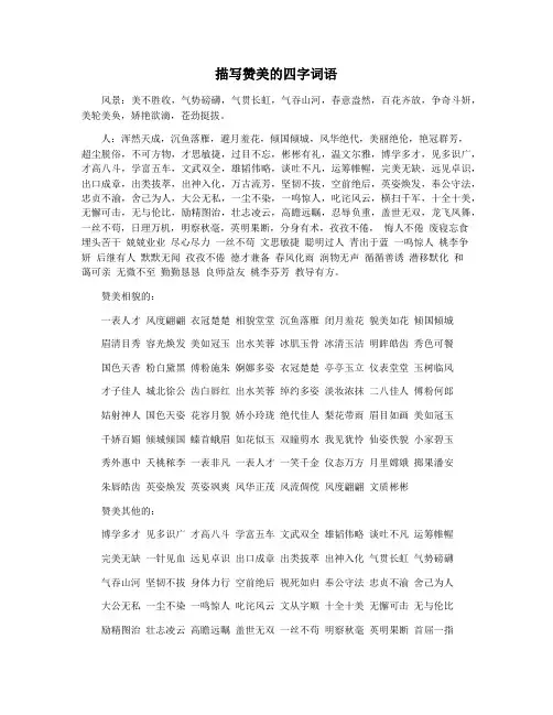 描写赞美的四字词语