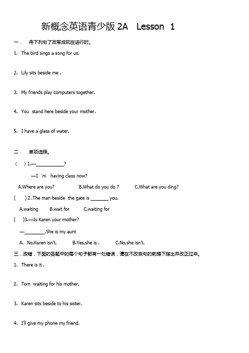 新概念英语青少版2A   Lesson  1试题
