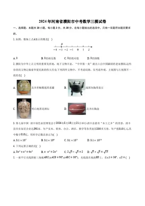 河南省濮阳市2024届九年级下学期中考三模数学试卷(含答案)
