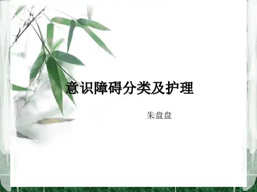 意识障碍分类及护理