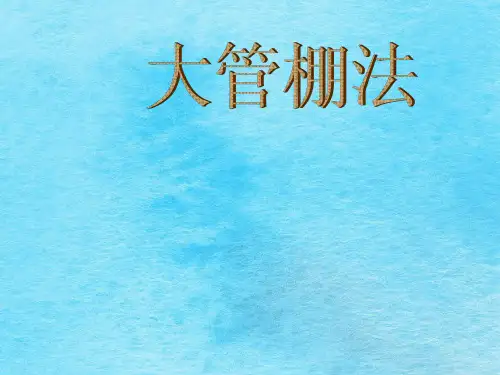 大管棚法施工工艺方案与组织设计ppt课件