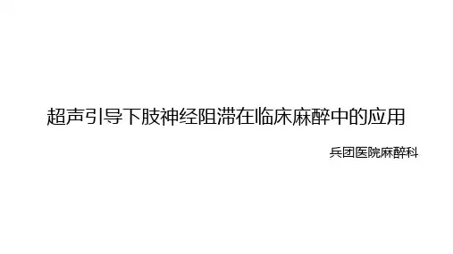 超声引导下肢神经阻滞在临床麻醉中的应用