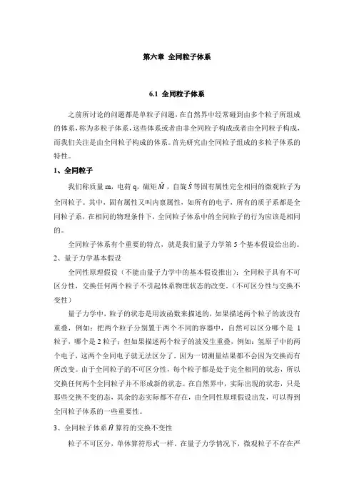 全同粒子体系