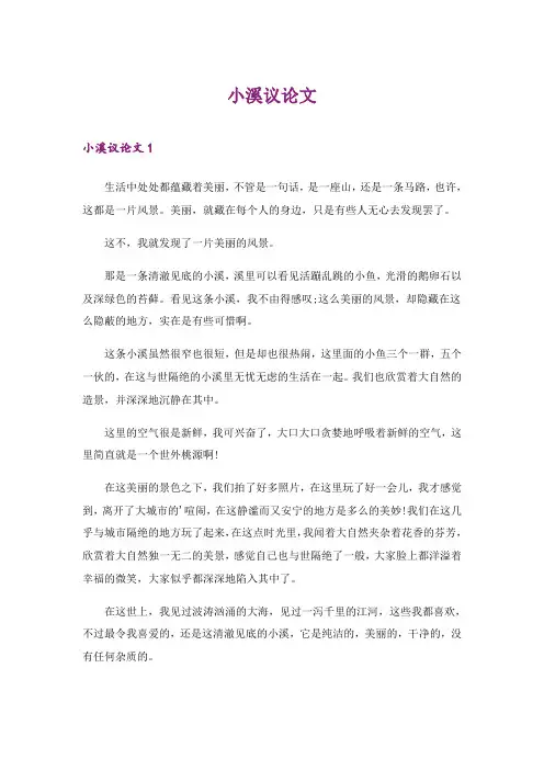 2024年小溪议论文