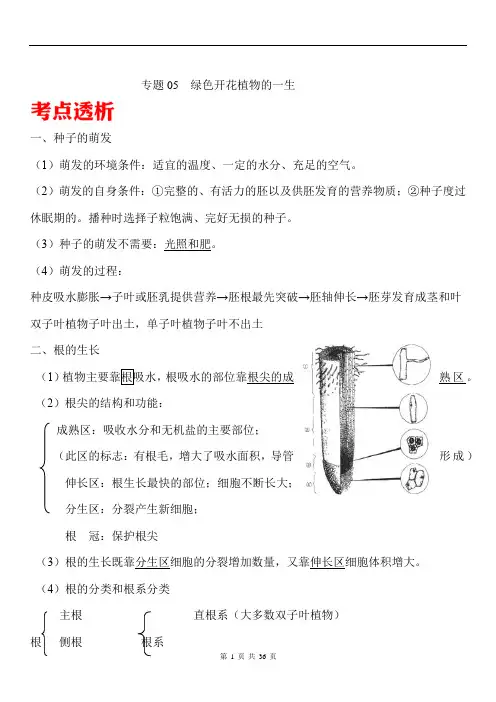 中考生物核心考点解析卷-专题05 绿色开花植物的一生