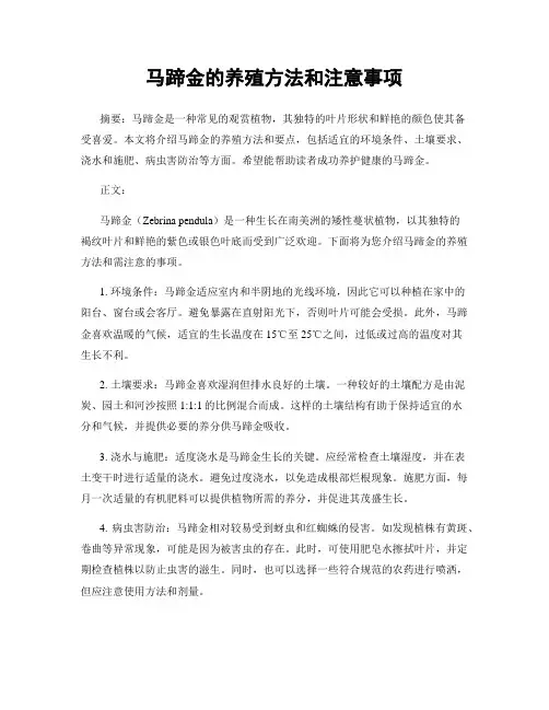 马蹄金的养殖方法和注意事项