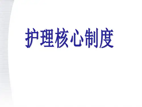 护理核心制度.pptx