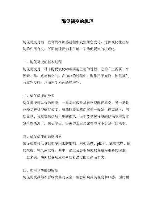 酶促褐变的机理