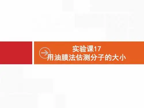 实验课17 用油膜法估测分子的大小