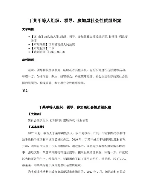 丁某甲等人组织、领导、参加黑社会性质组织案