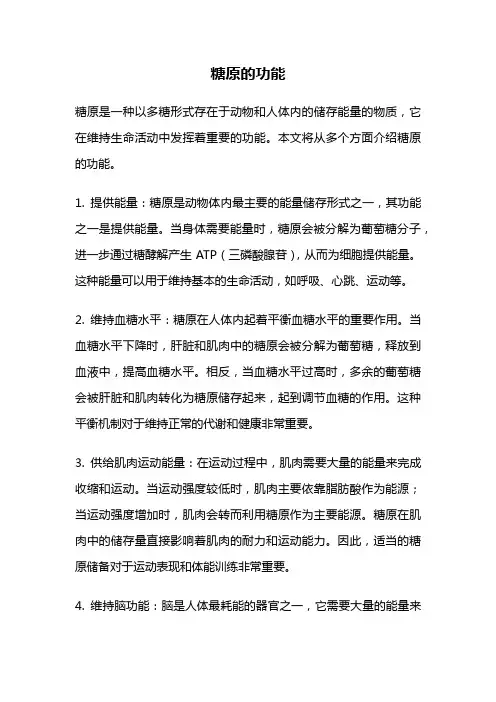 糖原的功能