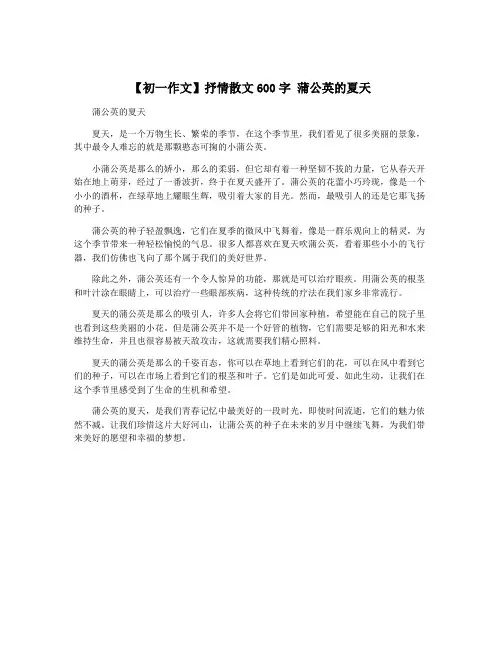 【初一作文】抒情散文600字 蒲公英的夏天