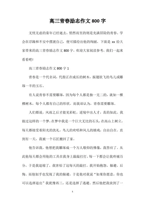 高三青春励志作文800字