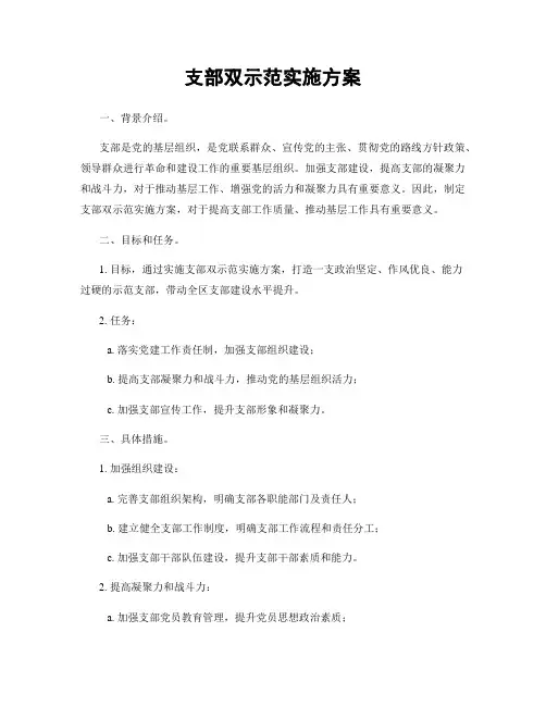 支部双示范实施方案
