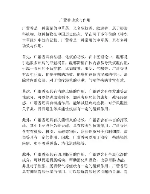 广藿香功效与作用