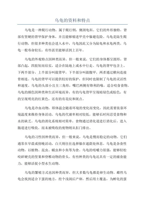 乌龟的资料和特点