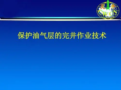 [实用参考]保护油气层的完井作业技术.ppt