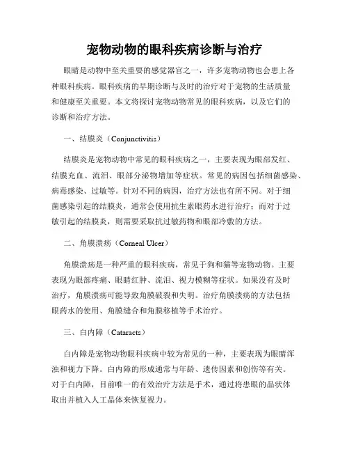 宠物动物的眼科疾病诊断与治疗