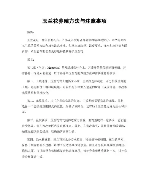 玉兰花养殖方法与注意事项
