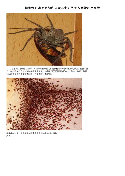 蟑螂怎么消灭最彻底只需几个天然土方就能赶尽杀绝