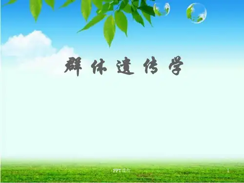 群体遗传学   ppt课件