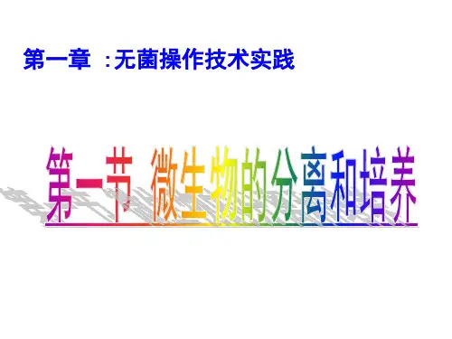 微生物的培养与利用 - 上课