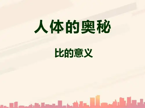 青岛版数学六上第四单元《人体的奥秘 比》ppt课件4