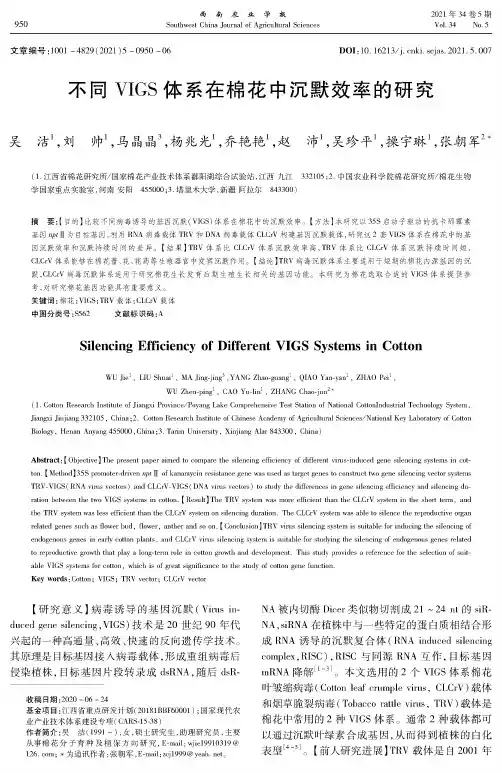 不同VIGS体系在棉花中沉默效率的研究