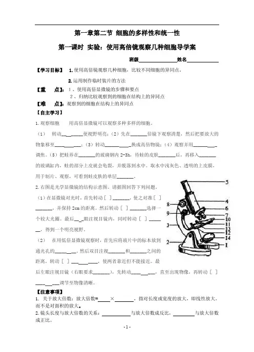 使用显微镜观察几种细胞导学案