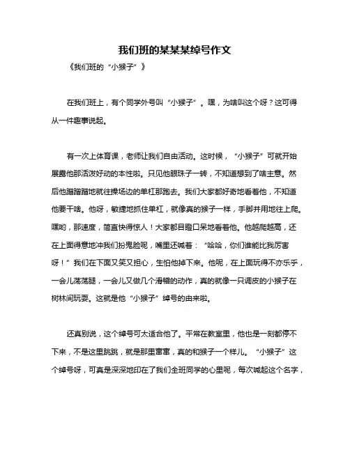 我们班的某某某绰号作文