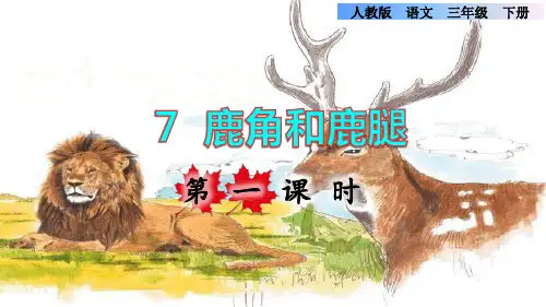 人教版三年级语文下册第二单元第7课《鹿角和鹿腿》课件