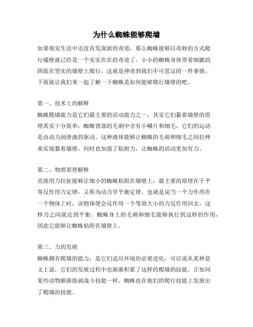 为什么蜘蛛能够爬墙
