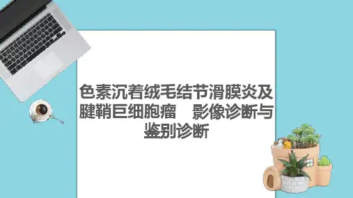 色素沉着绒毛结节滑膜炎及腱鞘巨细胞瘤的影像诊断与鉴别诊断