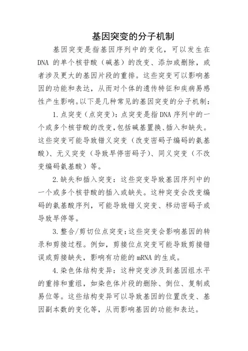 基因突变的分子机制