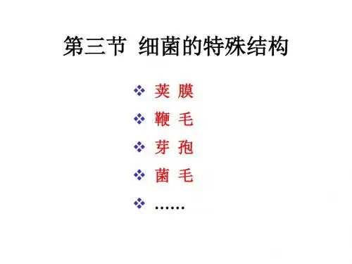 执业兽医资格考试微生物学细菌的特殊结构