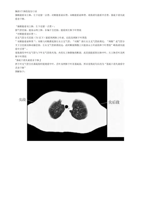胸部CT肺段划分口诀