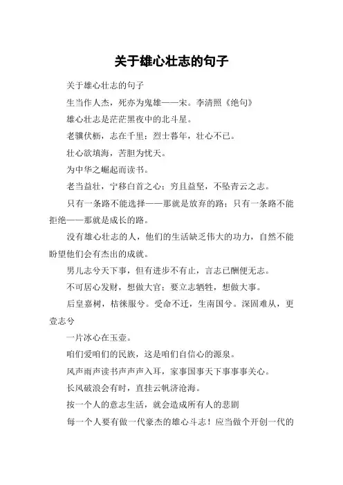 关于雄心壮志的句子