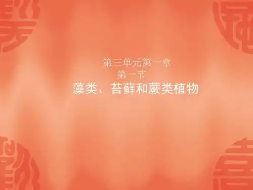 【初中生物】藻类、苔藓和蕨类植物PPT课件36