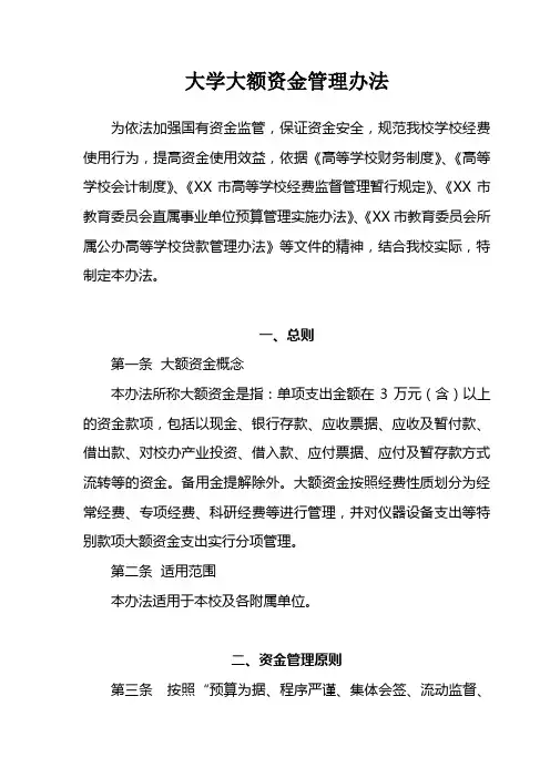 大学大额资金管理办法(精品)