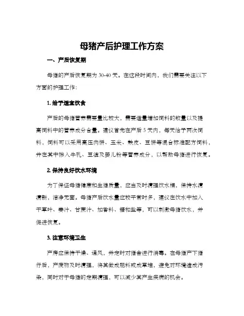 母猪产后护理工作方案