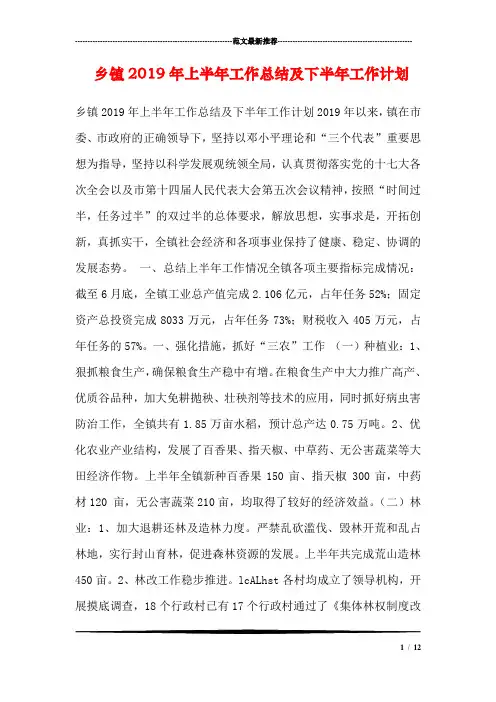 乡镇2019年上半年工作总结及下半年工作计划_0