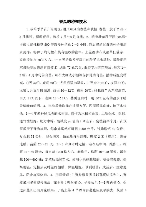 香瓜的种植技术