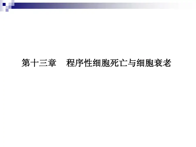 13章 程序性细胞死亡和细胞衰老