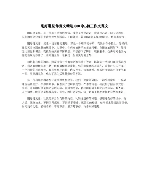 刚好遇见你范文精选800字_初三作文范文